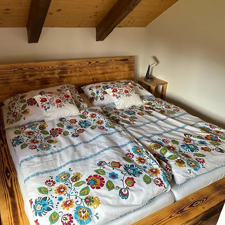 Wellness Se Saunou A Virivkou 1 Žirovnice